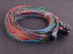 Billede af MaxxECU V1/RACE/PRO wiring harness connector 1