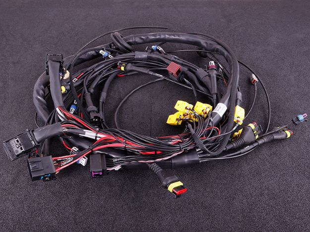 Billede af GM LS 3/4 terminated engine harness + MaxxECU Race