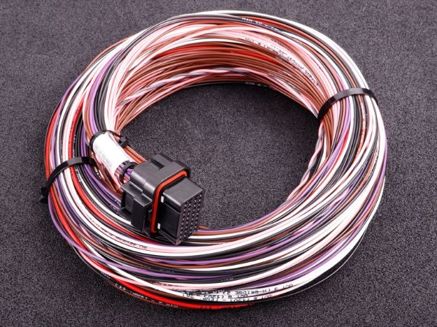 Billede af MaxxECU Expansion Module Harness