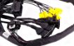 Billede af MaxxECU PRO Plugin STANDARD - Ford Mustang GT V8 2011-2014 (Coyote 5.0)