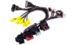 Billede af MaxxECU PRO Plugin EXTRA - GM Corvette C6 (E38 ECM)
