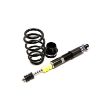 Billede af Street coilovers til Ford Mustang MK5 (05-14)