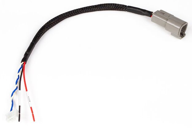 Billede af CAN adapterledningsnet (DTM-4 til JST 5-polet) - til Link PlugIn ECU'er
