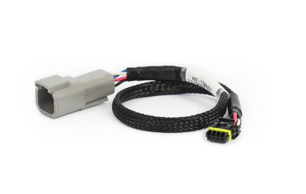 Billede af CAN adapterledningsnet DTM-4 til Molex Mizu-P25 - til Holley