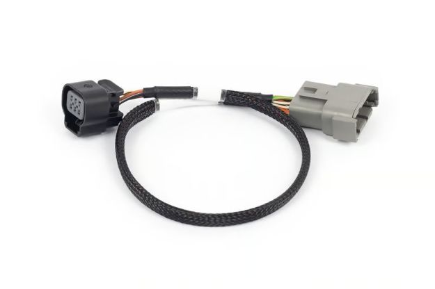 Billede af Nexus Rebel LS - 6-polet DBW adapter