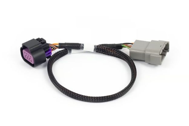 Billede af Nexus Rebel LS - 8-polet DBW adapter