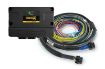 Billede af Nexus S2 plug'n'play adapterledningsnet-kit - Honda OBD-I
