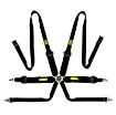 Billede af Tecnica 6-punkts 3"+2" sele (FIA, HANS)