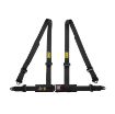 Billede af Road 4 4-punkts 2" sele (ECE)